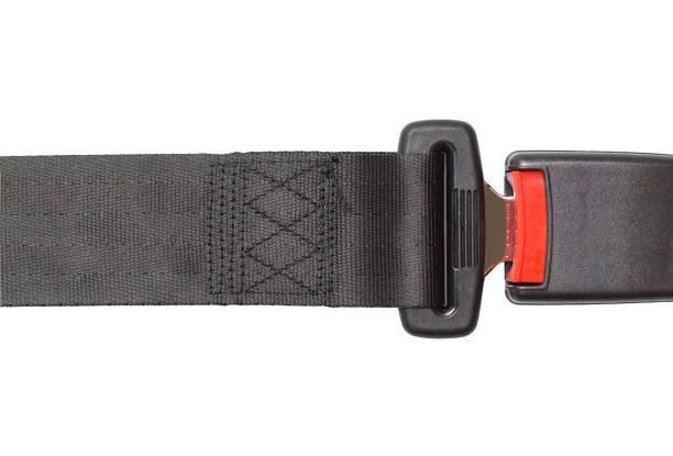 Fully Fitted Lap Belt for your CCCamper