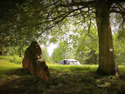 March Spring Awakening: Dive into Nature's Splendour! - cccampers.co.uk