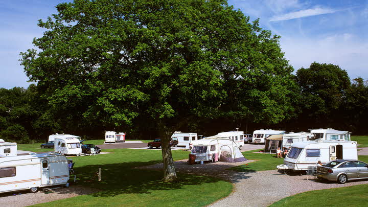 3 Top Campsites in the New Forest - cccampers.co.uk