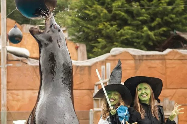 October: Spooky Fun - cccampers.co.uk