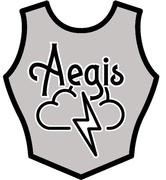 2.6 Caravan, Camper, Motorhome Service: Introducing Aegis Bodywork and Interior Protection System - cccampers.myshopify.com
