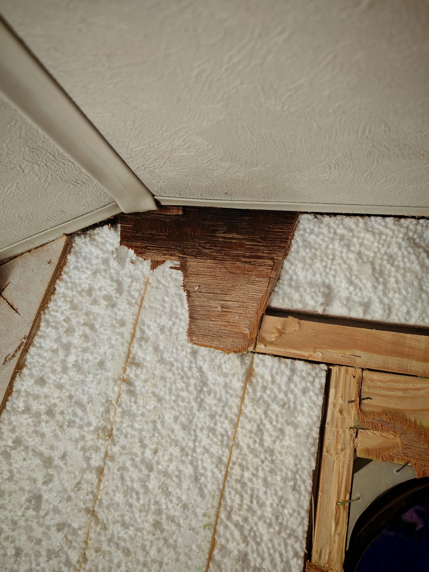 Motorhome, Caravan & Campervan Damp Repair Costing Report Service