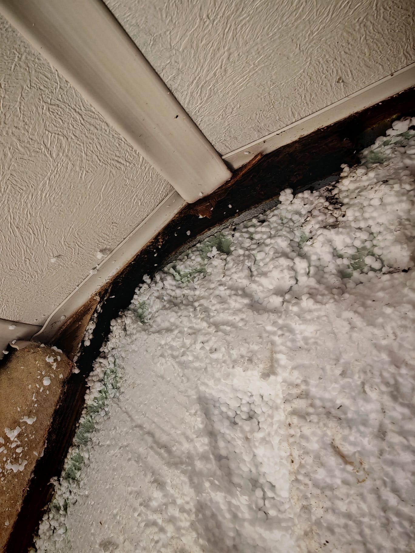 Motorhome, Caravan & Campervan Damp Repair Costing Report Service